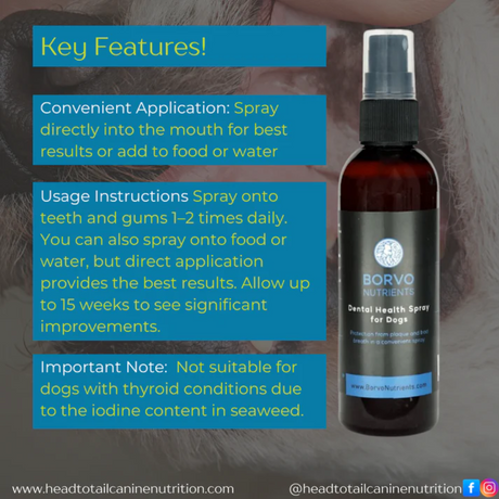 Infographic by Borvo Nutrients of the Dental Health Spray 100ml. Explaining How to use and other information.