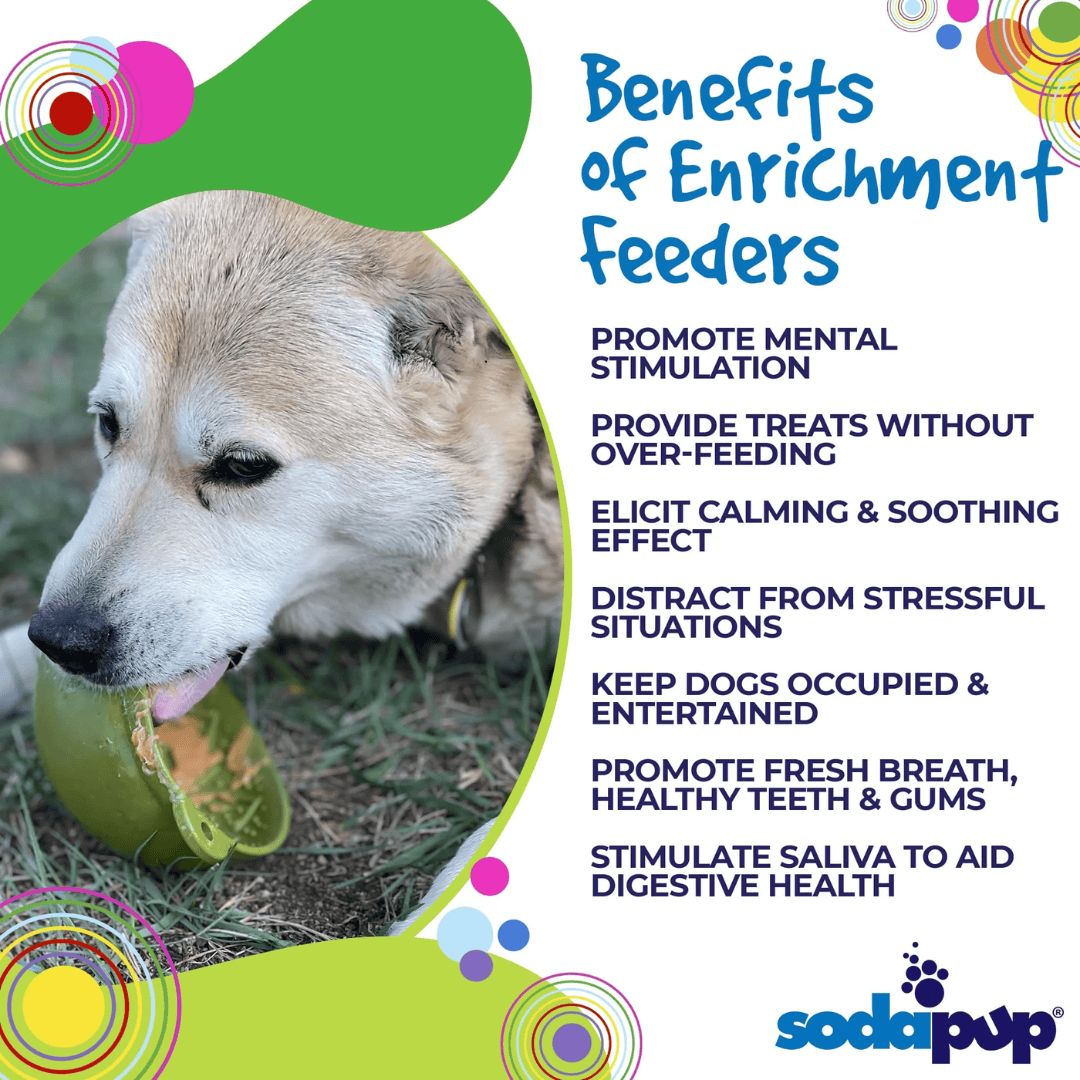 Benefits of enrichment feeder infographic by Sodapup. 