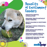 Benefits of enrichment feeder infographic by Sodapup. 