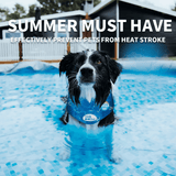 Chill Out Ice Cooling Bandana