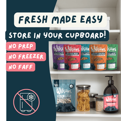 Wilsons Fresh Dog Food Bundle