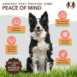 Some key benefits of the Bottle of Natural Dog Company Calming Oil. They are surrounding a dog with arrows pointing to said dog