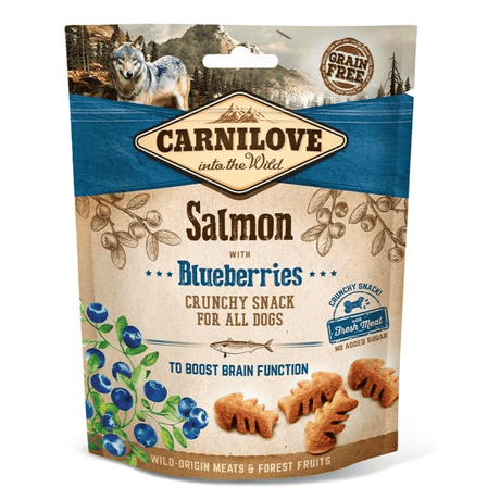 Carnilove Salmon with Blueberries Crunchy Dog Treats. The packet is against a white background.