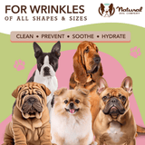 An infographic Natural Dog Company Wrinkle Wipes it states Clean - Prevent - Soothe - Hydrate.