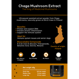 Chaga Mushroom Extract for Dogs - Borvo Nutrients