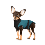 MAXX Surgical Recovery Suit for Dogs