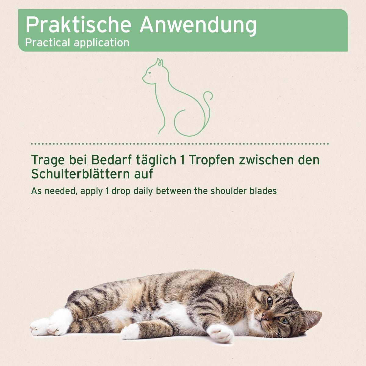 Instructional graphic with German text reading 'Praktische Anwendung' and 'Trage bei Bedarf täglich 1 Tropfen zwischen den Schulterblättern auf' plus 'As needed, apply 1 drop daily between the shoulder blades,' showing a green cat outline and a real tabby cat lying on a beige background.