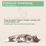 Instructional graphic with German text reading 'Praktische Anwendung' and 'Trage bei Bedarf täglich 1 Tropfen zwischen den Schulterblättern auf' plus 'As needed, apply 1 drop daily between the shoulder blades,' showing a green cat outline and a real tabby cat lying on a beige background.