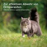 A long-haired gray cat stands on grass in an outdoor setting with a green blurred background. White text at the top reads 'Zur effektiven Abwehr von Ektoparasiten' and 'Effective defence against ectoparasites'.