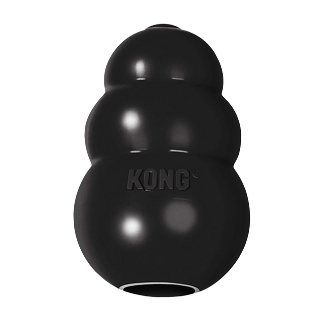Kong extreme black dog toy.