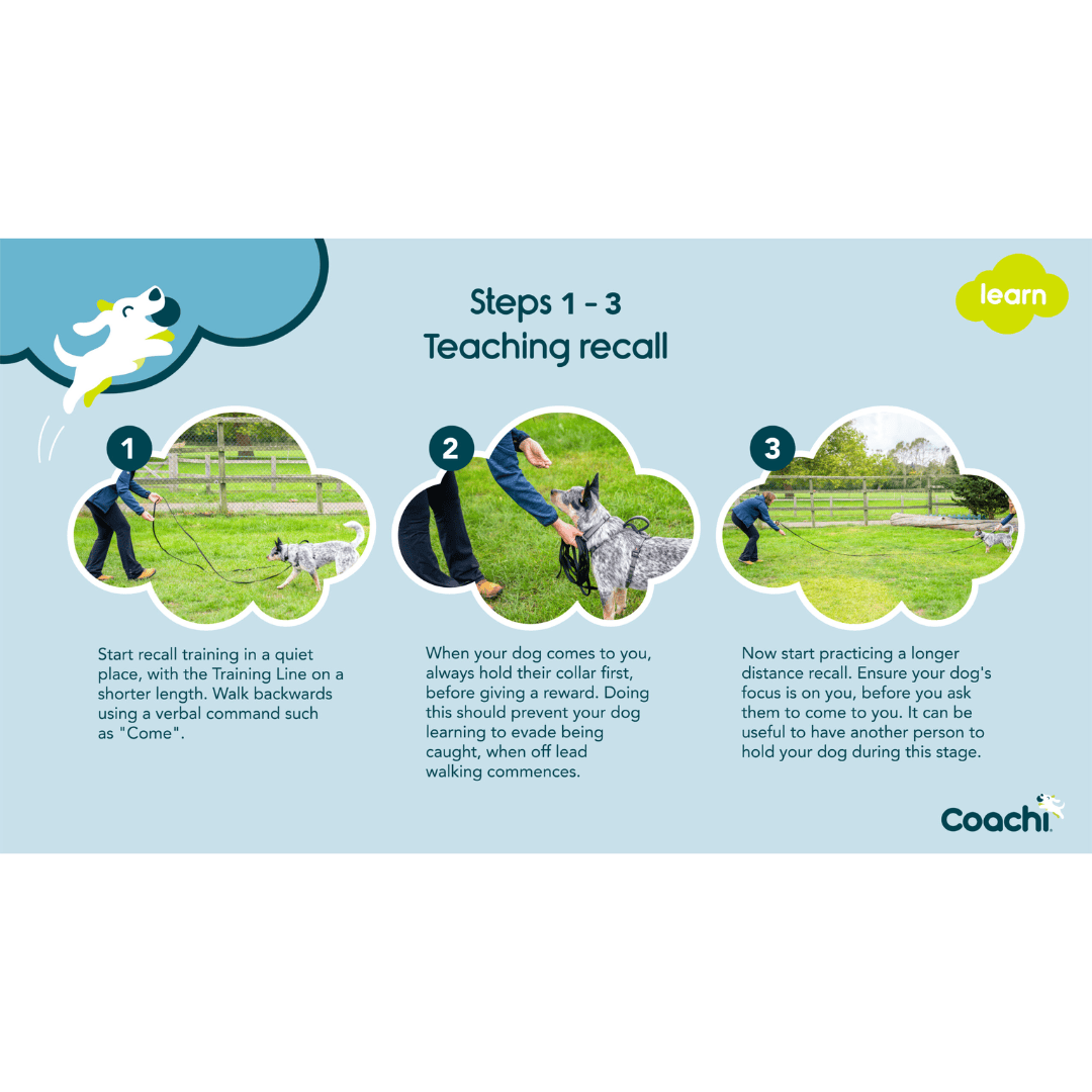 Coachi 10 Meter Training Line