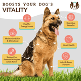 Some key benefits of using the Natural Dog Company Ultra Omega Oil