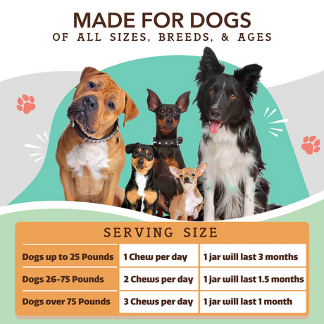 A table of the feeding guidelines of the Natural Dog Company Supplement Chews. There is an image of group of dogs, all different breeds above the table.