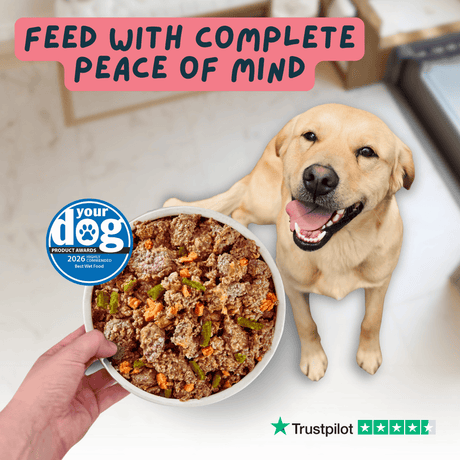 Wilsons Puppy Chicken & Fish Fresh Dog Food
