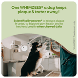 Whimzees Daily Dental Treats Toothbrush 10 Pack - Small Dogs